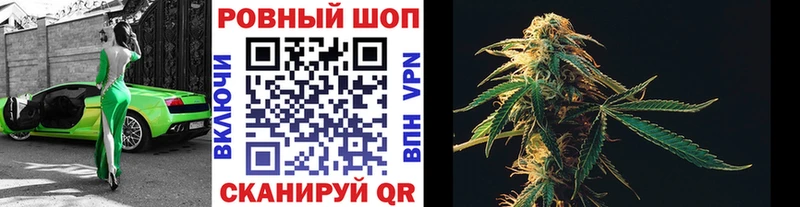 Купить наркотики сайты Козьмодемьянск Cocaine  Амфетамин  Псилоцибиновые грибы  ГАШ 