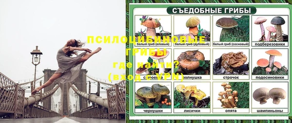 прущие крисы Аркадак
