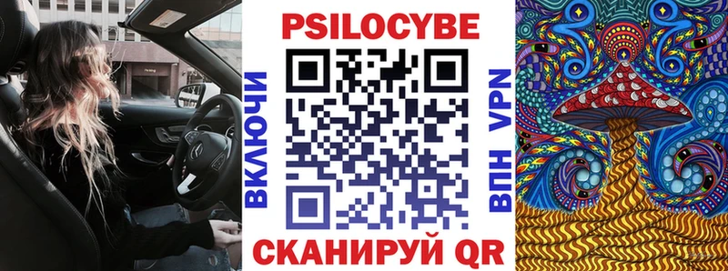 Псилоцибиновые грибы Psilocybe  Козьмодемьянск 