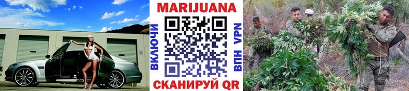 МАРИХУАНА SATIVA & INDICA  где купить наркоту  Козьмодемьянск 